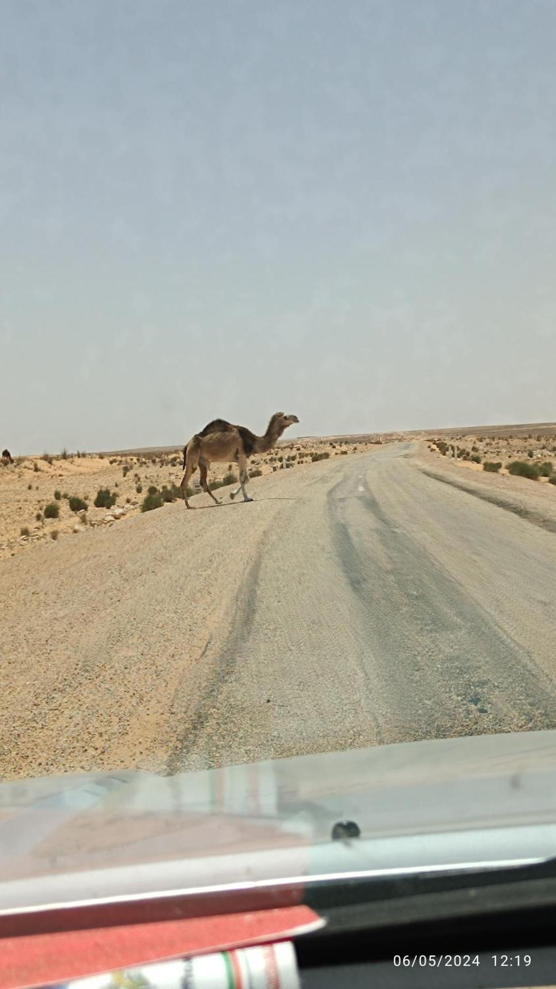 Dar Lagune Djerba Vue De Mer Al Haddadah Εξωτερικό φωτογραφία