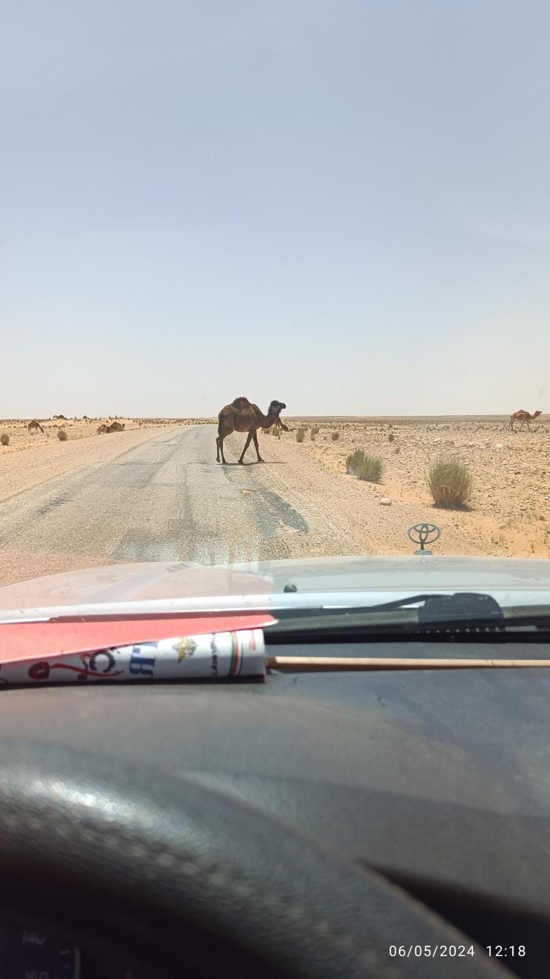 Dar Lagune Djerba Vue De Mer Al Haddadah Εξωτερικό φωτογραφία